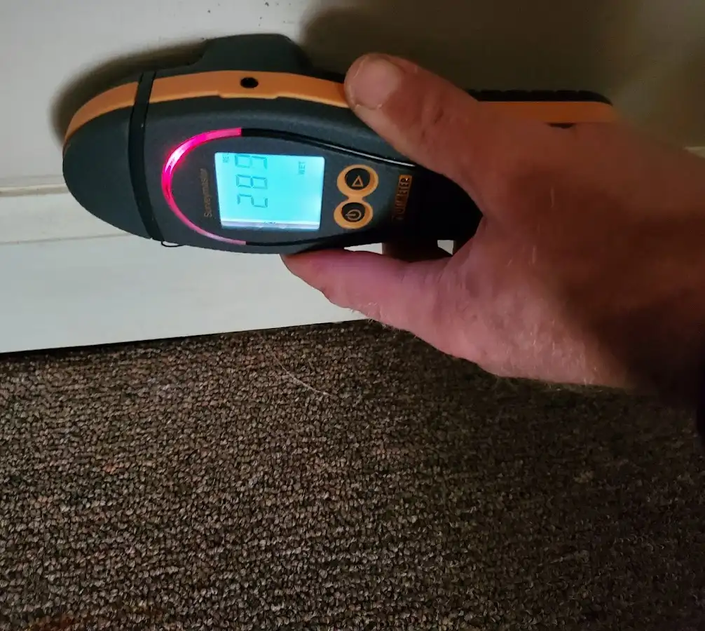 Moisture detection at baseboard during Sewage Cleanup & Sanitation in Wells